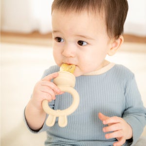 아기 과일망 애기 유아용 실리콘 과일 쪽쪽이 과즙 젖병 이유식 과즙망 1개