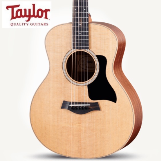Taylor 테일러 지에스 미니 GS mini s 샤펠