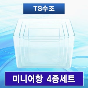 테라리움 용기 미니 어항 수조 4종 세트