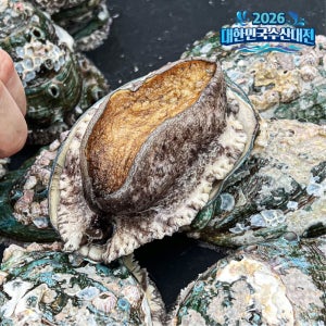 통수산 완도 활전복 1kg 대 10-11미 산지직송