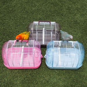 앵무새이동장 간편 통통 앵무새 이동장 중소형 새 모든 앵무새용 가방 백팩 용품