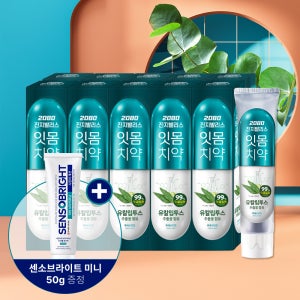 2080 진지발리스 치약 150g 10입 치약