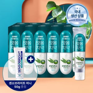 [슈퍼적립] 2080 진지발리스 유칼립투스 치약 후레쉬민트 150gX10입+센소브라이트 치약 50g