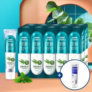[슈퍼적립] 2080 진지발리스 유칼립투스 치약 후레쉬민트 150gX10입+닥터크리닉 치석치약 50g