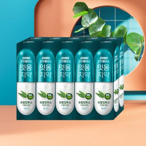 2080 진지발리스 유칼립투스 잇몸 치약 후레쉬 민트 150g 10입