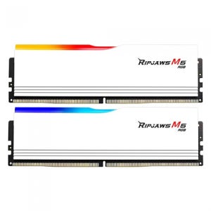 G.SKILL DDR5-6000 CL30 RIPJAWS M5 RGB 화이트 패키지 (64GB(32Gx2))