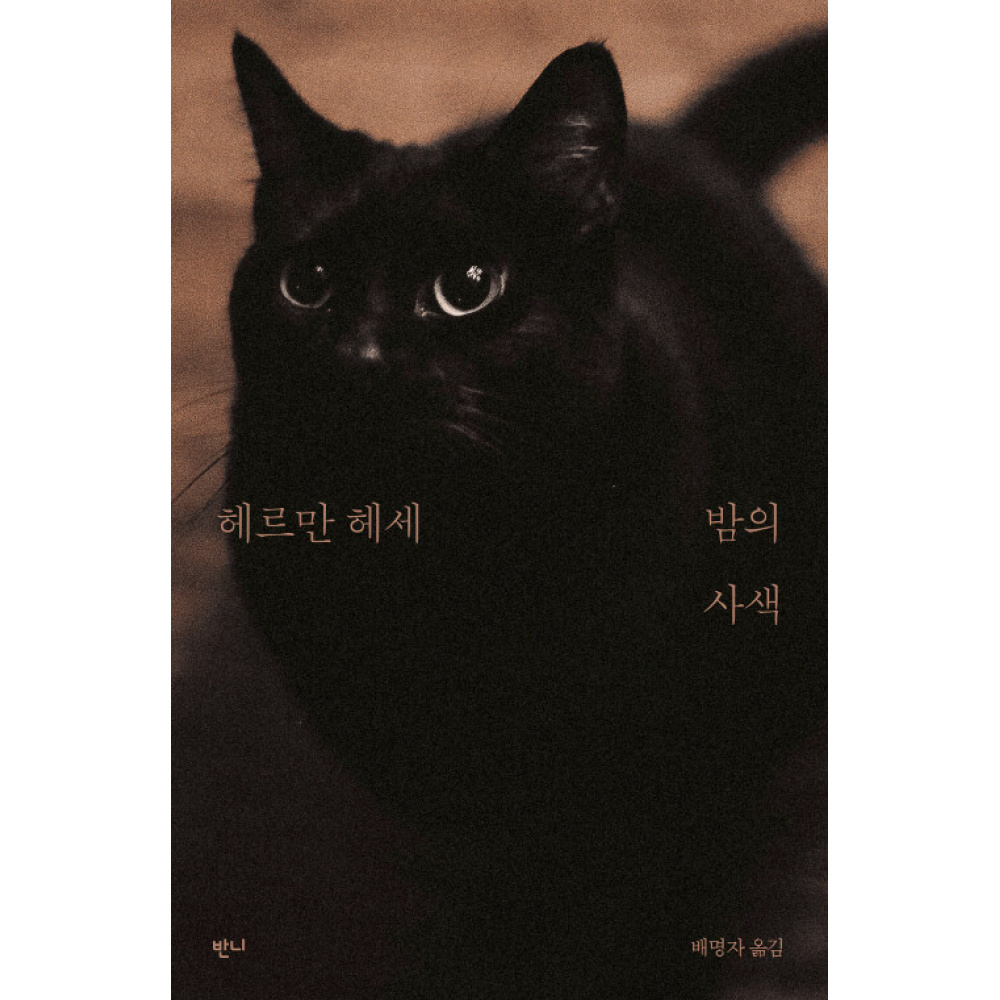 밤의사색 이미지