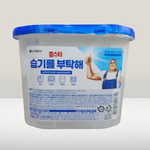 홈스타 습기를 부탁해 제습제 습기제거제 275g 낱개 1개