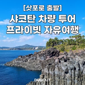 [삿포로 출발] 오타루,샤코탄 단독/프라이빗 일일 차량투어 북해도 자유여행 덕아웃