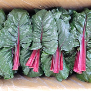 야채이야기 싱싱한 적근대 2kg (1.8kg - 2kg) 쌈채소