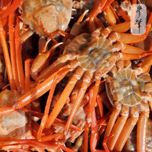 [선주직송] 무화수산 동해안 홍게 영덕대게 생물 자숙 수율보장