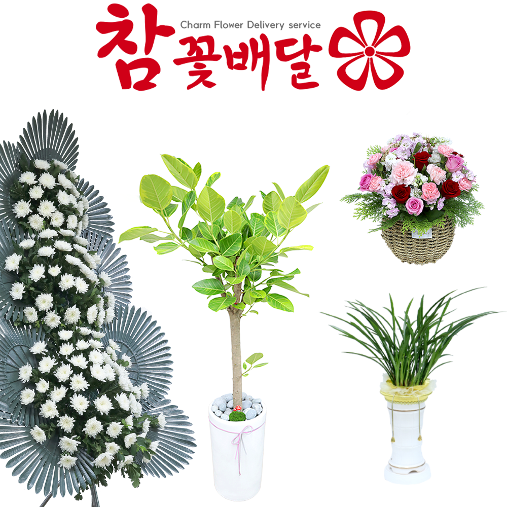 청주꽃배달 청주화환 근조화환