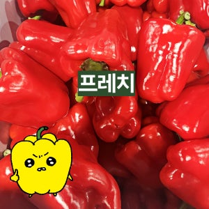 프레치 국내산 홍피망 500g