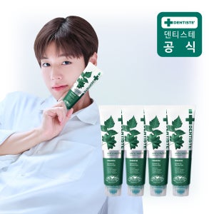 덴티스테 안티캐비티 치약 불소 입냄새제거 무거품 100g, 4개