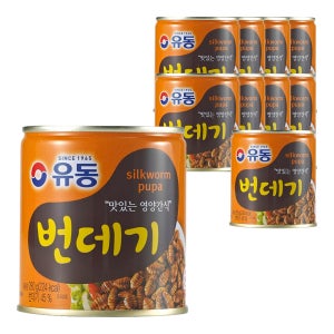 유동 번데기 280g, 10개