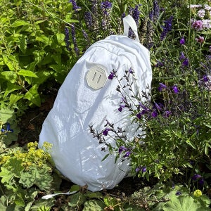 판트록스 BP04 여성백팩 여학생 여대생 가벼운백팩 경량 (순면 안감)