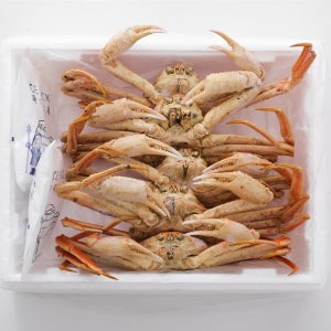 박달 대게 1kg 스노우크랩 러시아 자숙 마가단 찜
