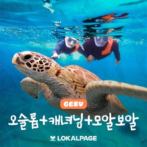 세부 고래상어 패스트트랙 오슬롭 캐녀닝 모알보알 원데이투어 로컬페이지 [오캐모팩]