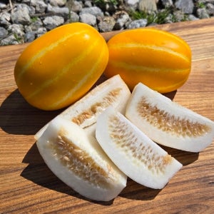 성주꿀참외 못난이 가정용 혼합과 3kg 5kg 10kg