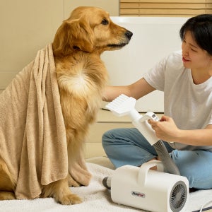 페페 앱스퍼(Absfur) 컨트롤그립 에어탱크 AT-100 펫드라이기 강아지 드라이기