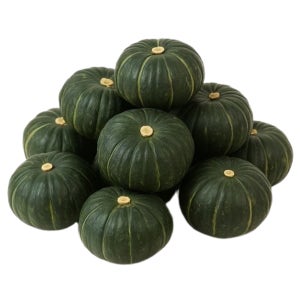 맛통령 미니 단호박 보우짱 밤호박