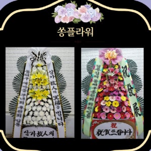 경상남도 마산의료원 장례식장 부고화환 창원시 중앙동 부고화환 보내기