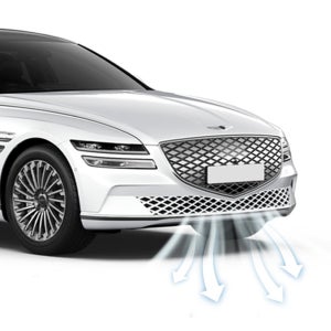 제네시스 G80 EV 튜닝 그릴 방충망