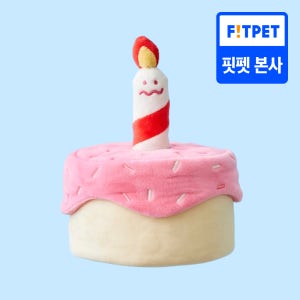 댄 강아지 고양이 생일파티 케이크 노즈워크 장난감 해피멍스데이