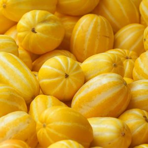 당일수확 성주 고당도 참외 꿀참외 10kg 당도선별 산지직송 로얄과 가정용 못난이 선물용