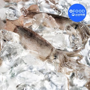 국내산 손질오징어 (1미당 중량별판매) 경매 후 손질 및 급냉