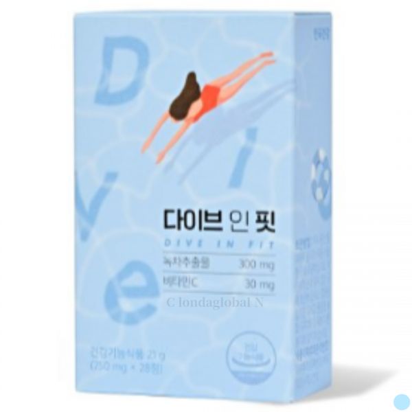 다이브 인 핏