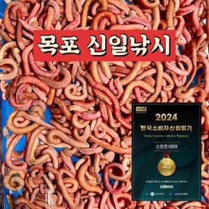 국산 참갯지렁이 혼무시 홍거시 홍무시 100g 바다낚시 원투낚시 돌돔 감성돔 미끼