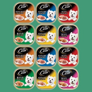 시저 캔 강아지 습식캔 베스트 6종콤보, 100g, 12개