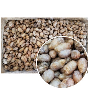 국내산 오만둥이 벌크 10kg 냉동 오만디 업소용 대용량 아구찜 해물찜