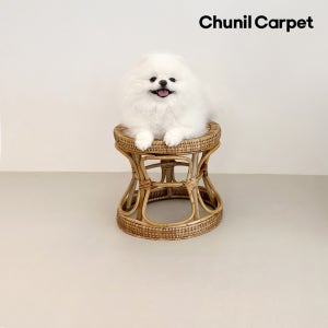 천일 강아지매트 1.5T 롤 애견 반려견 펫 미끄럼방지 거실 복도 아이보리 70x50cm