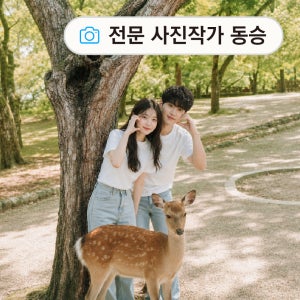 [전문 사진작가 동승] 오사카 교토 나라 일일 버스투어 사슴공원 동대사 아라시야마 유투어