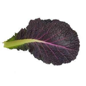 야채이야기 싱싱한 적겨자 적겨자잎 겨자잎 1kg, 1개
