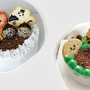 [가을케이크 만들기] 부산 달달설기 키즈카페 어린이 체험 원데이클래스