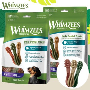 [N포인트2500원] 윔지스 밸류백 강아지 덴탈껌 칫솔, XS, 2개