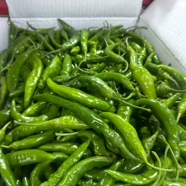 중원상회프레시 국내산 청양고추 매운 고추 땡초 10kg, 5kg, 1kg 중도매인 당일경매