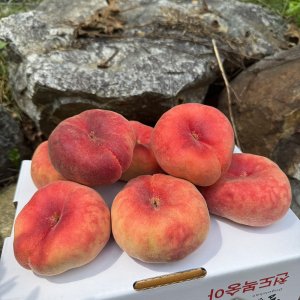 경산 신비 복숭아 5kg 딱딱이복숭아 옹골찬