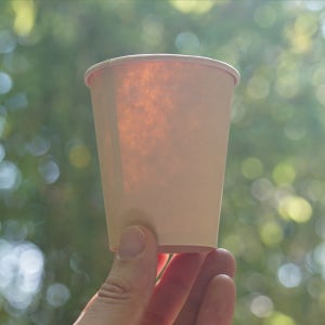 대나무 종이컵 380ml(12온스) 100개 일회용 테이크아웃 카페 PLA 코팅 친환경 아이스 겸용