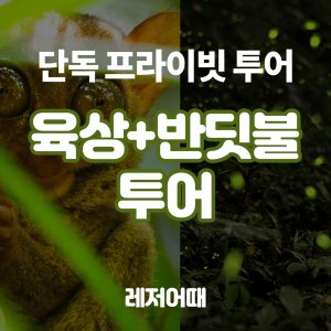 보홀육상투어 최저가 가성비상품