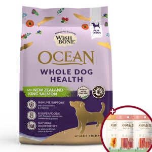 [+자연육포240g] 위시본 독 사료 그레인프리 식분증 연어, 9kg, 1개