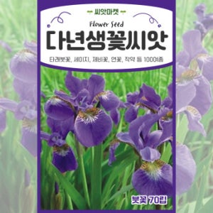 산들마켓 꽃씨앗 다년생 붓꽃 씨앗 70립 꽃씨 야생화 종자
