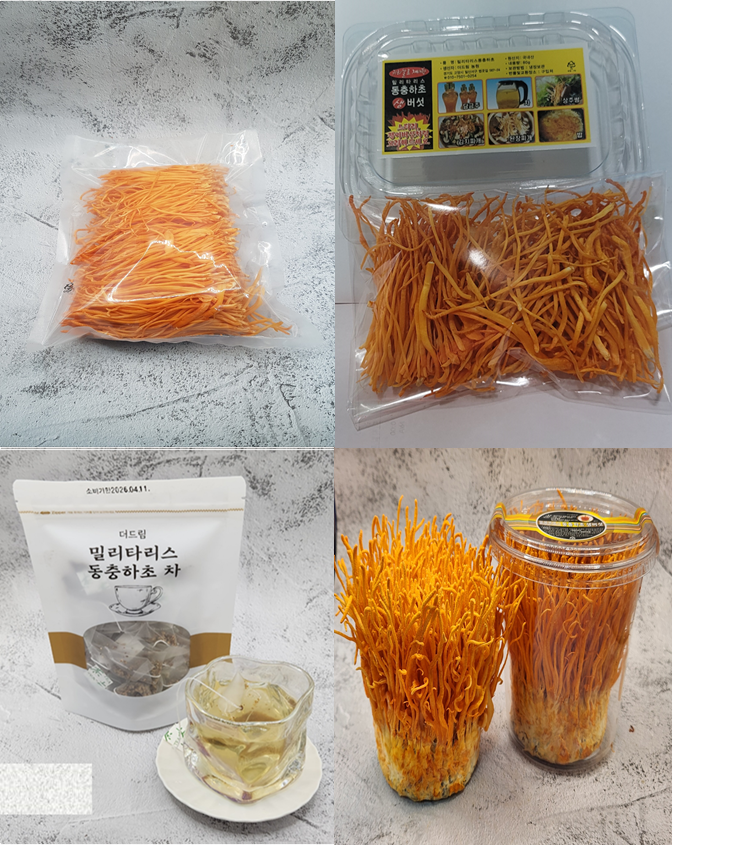 더드림농원 <b>동충하초</b> 버섯만 250g . 500g 알뜰형70g 실속형 버섯+배지