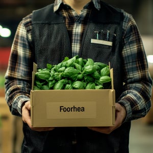 푸레아 국내산 특품 생허브 바질 반박스 500g 한박스 1kg 스위트바질 바질페스토