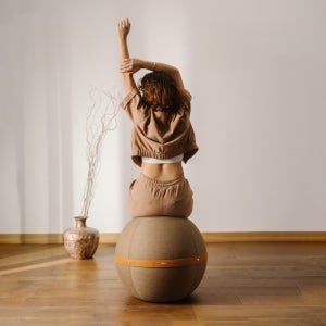 블룬파리 오리지널 명품 짐볼 의자 임산부 필라테스 밸런스 체어 코어 운동 요가볼 허리운동