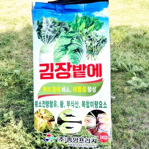 중앙 김장밭에 1kg 무 배추 시금치 뿌리썩음방지 생육 활성화