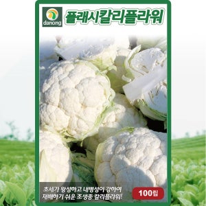 다농 플래시칼리플라워 씨앗 100립 조생종 꽃양배추 브로콜리씨 종자